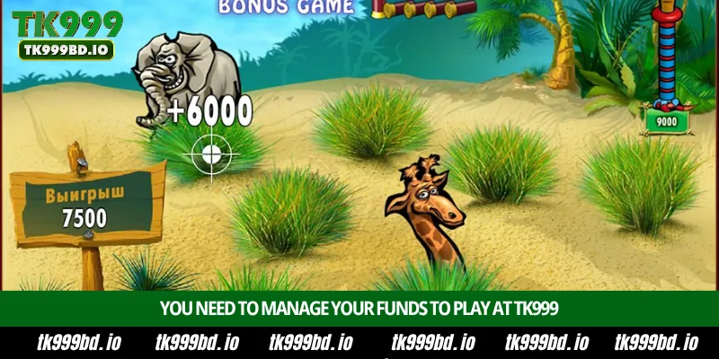 You need to manage your funds to play at TK999