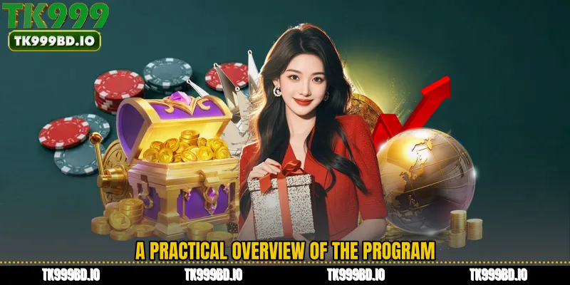 A practical overview of the program