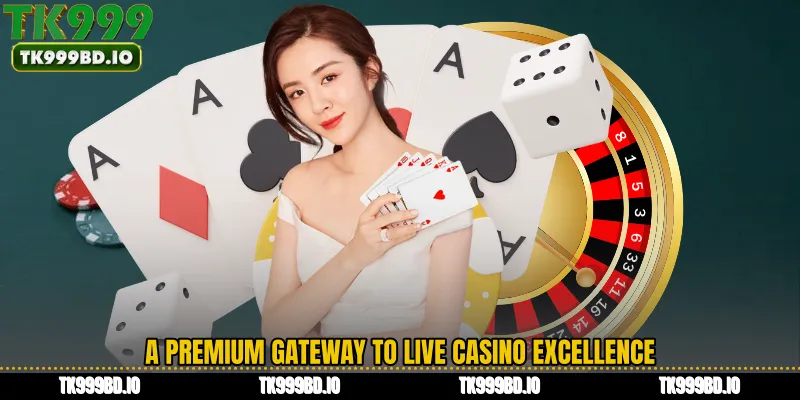 A Premium Gateway to Live Casino Excellence