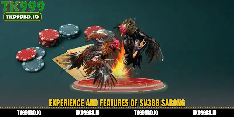 Experience and Features of SV388 Sabong