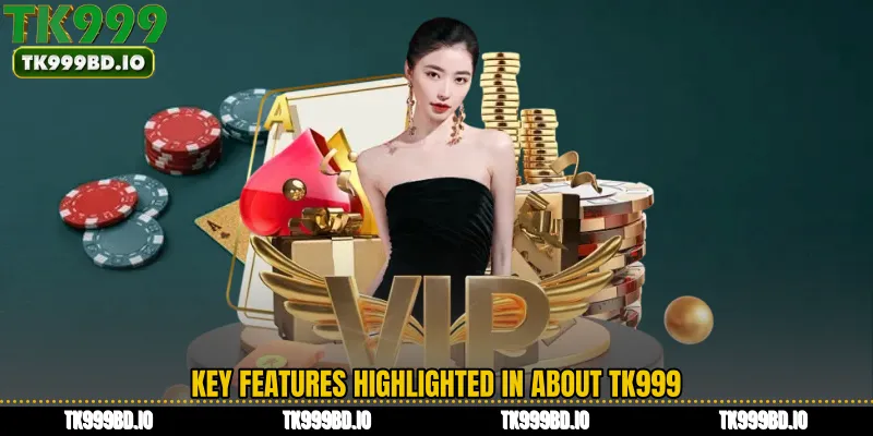 Key Features Highlighted in About TK999