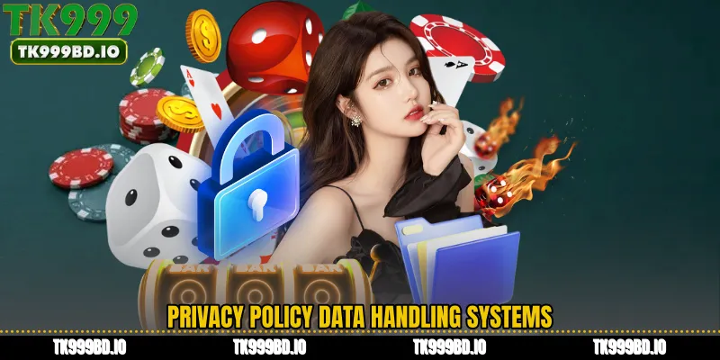 Privacy Policy Data Handling Systems