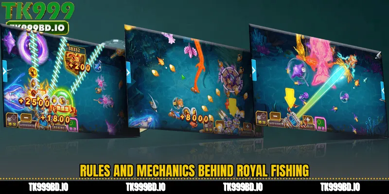 Rules and Mechanics Behind Royal Fishing